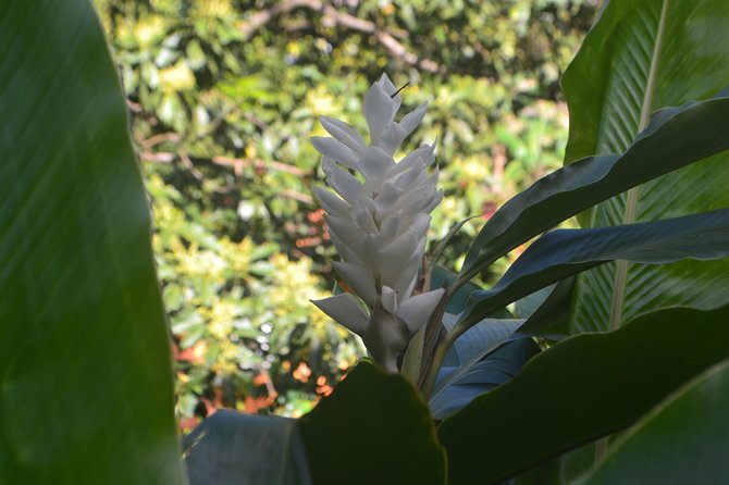 Isle of Spice Adventure Tour - Practical Information