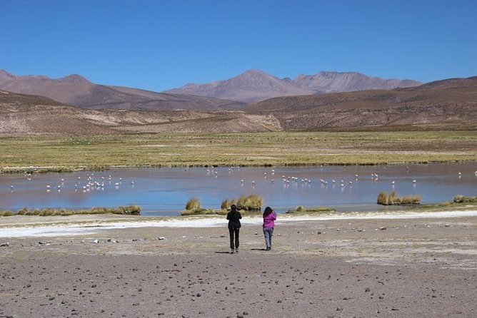 Isluga National Park Tour - Tour Overview