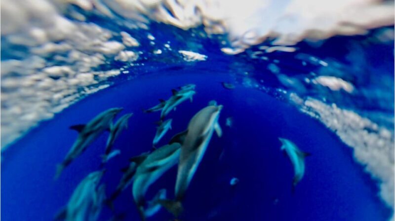 Isola Bella-Blue Grotto: Boat Tour, Snorkeling & Aperitif - Ask Away