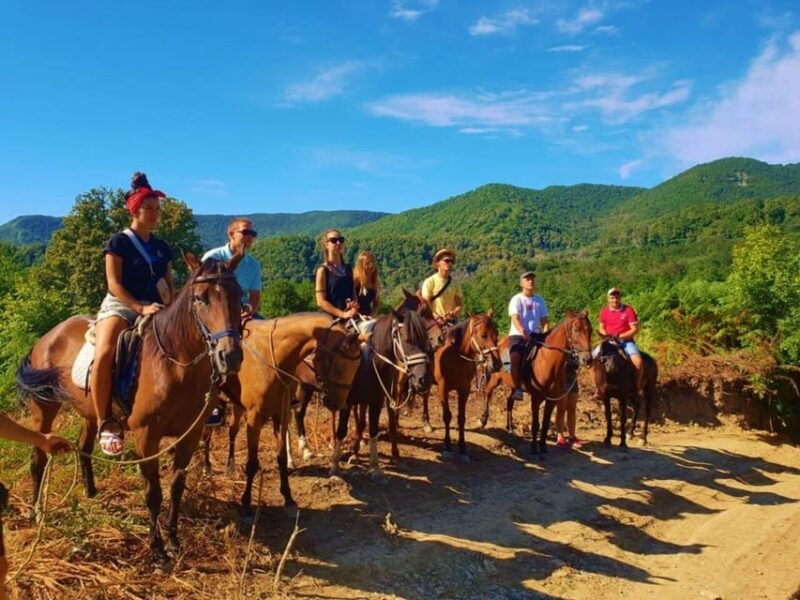 Istanbul: 1 Hours Horse Riding With Trained Horses - Key Points