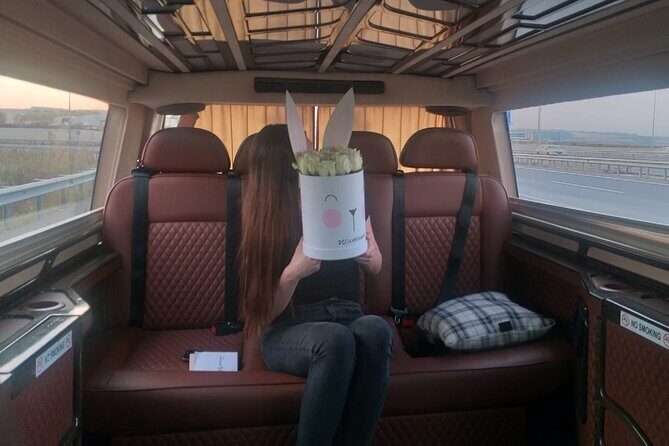 Istanbul Airport Transfer Private Minvan - FAQ