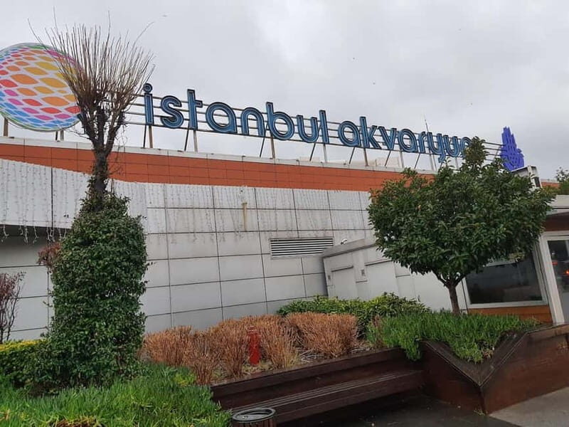 Istanbul: Aquarium Ticket and Round Trip Shuttle from Taksim - FAQ: Your Questions Answered