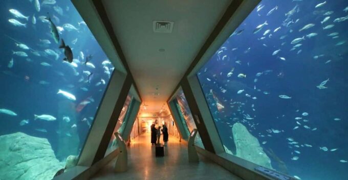 Istanbul: Aquarium Ticket and Round Trip Shuttle From Taksim - Visitor Ratings Overview