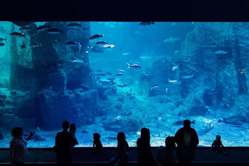 Istanbul: Aquarium Ticket with Shuttle Bus from Sultanahmet - The Practicalities and Value