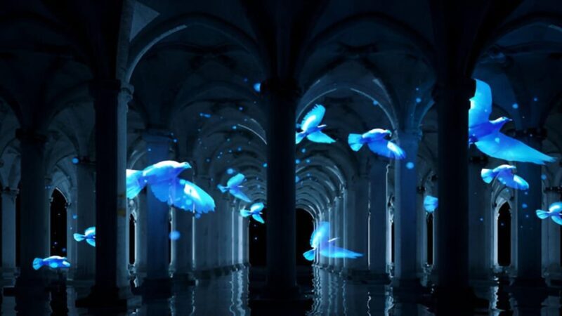 Istanbul: Basilica Cistern Skip-the-Ticket-Line Guided Tour - Key Points: