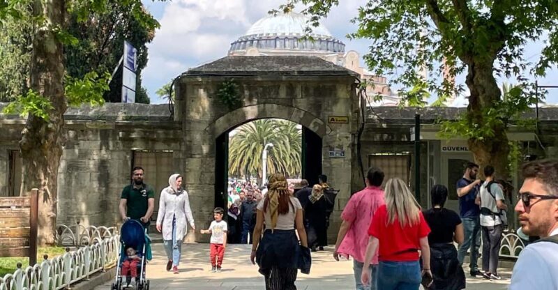 Istanbul: Blue Mosque, Basilica Cistern, & Hagia Sophia Tour - A Deep Dive into the Experience