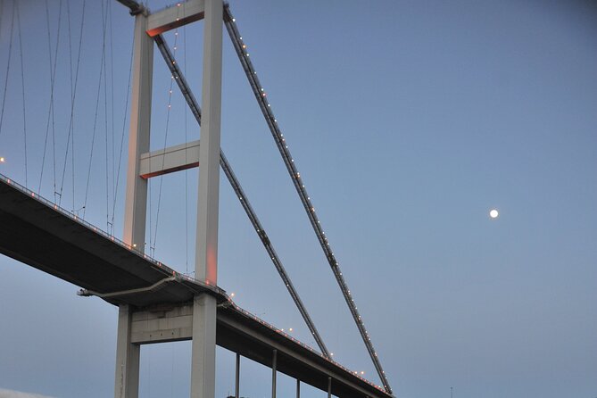 Istanbul: Bosphorus and Golden Horn Cruise With Audio Guide - Group Size and Capacity