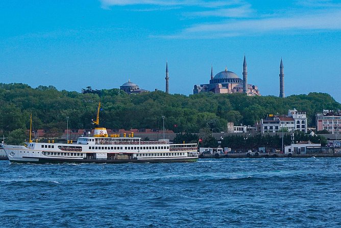 Istanbul Bosphorus Cruise and Audio Guide App - Customer Reviews Overview