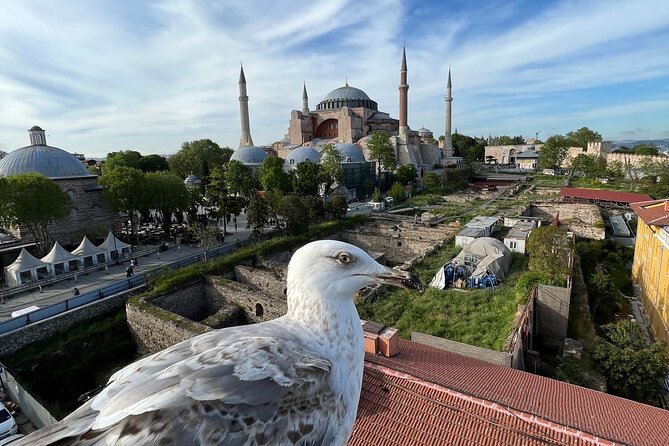 Istanbul City Tour From Cruise Ship Terminal Galataport. - Customization Options