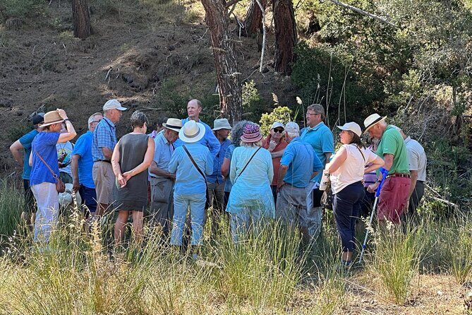 Istanbul Gallipoli Experienced Daily Tour - The Itinerary in Detail