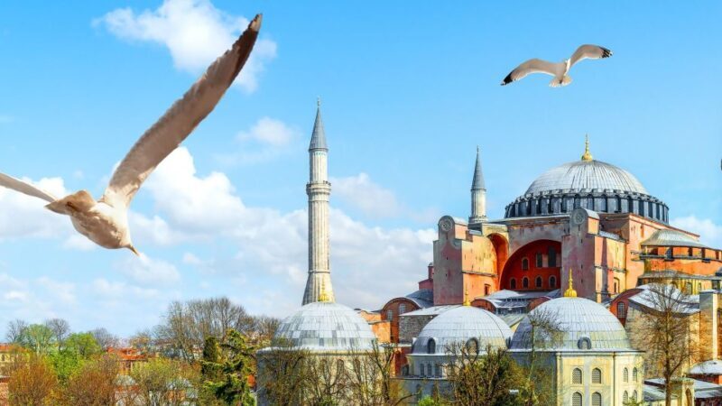 Istanbul: Hagia Sophia, Basilica Cistern & Topkap Palace - Who Will Love This Tour?