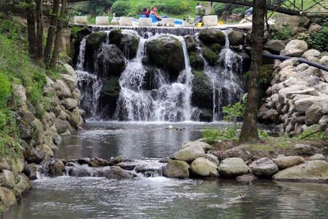 Istanbul Lake Sapanca Tour with Lunch and Transfer - Value for Money