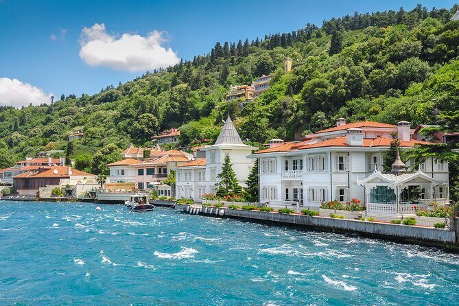 Istanbul Princes Islands Boat Trip with Lunch - Who Will Love This Tour?  
