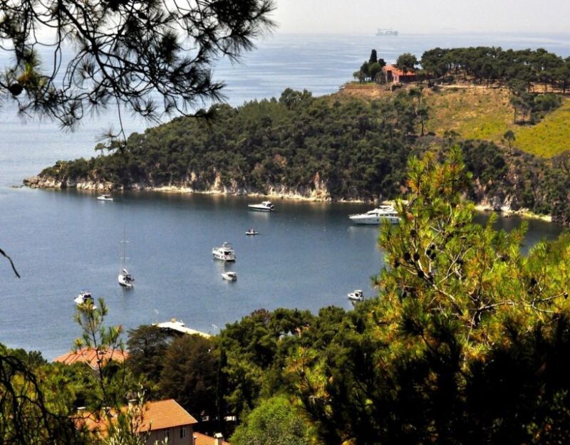Istanbul: Princes Islands Tour With Lunch and Transfers - Customer Reviews