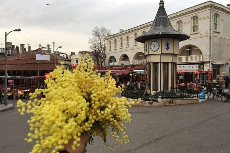 Istanbul: Princes Islands Walking Full-Day Tour - Frequently Asked Questions (FAQs)
