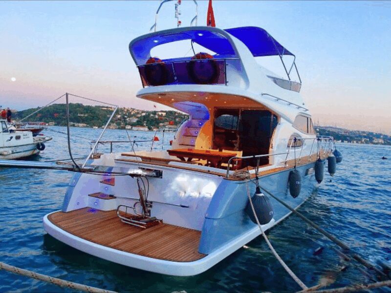 Istanbul: Private Bosphorus Tour On Luxury Yacht - A Close Look at the Experience