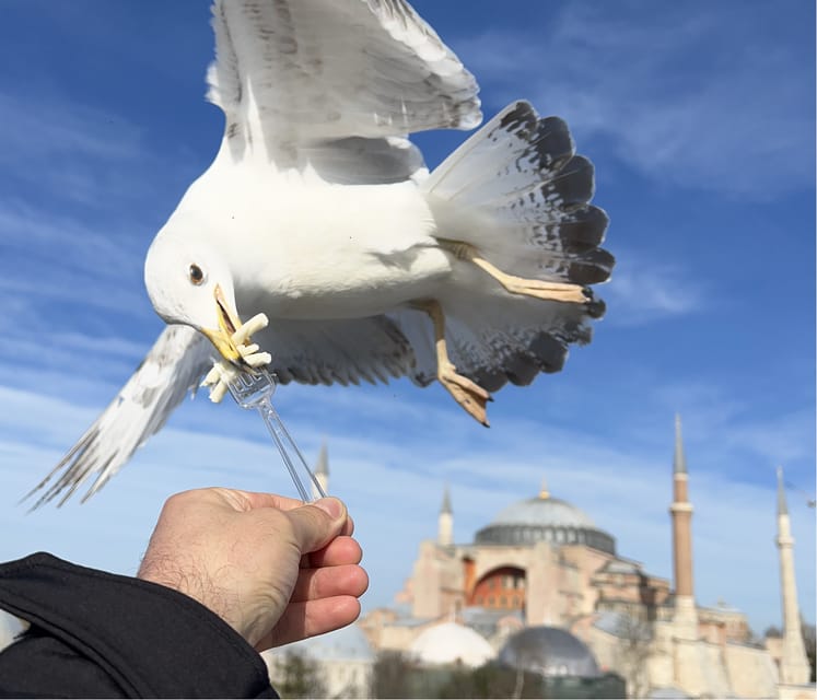 Istanbul: Private City Tour with Transportation - An In-Depth Look at the Tour Experience