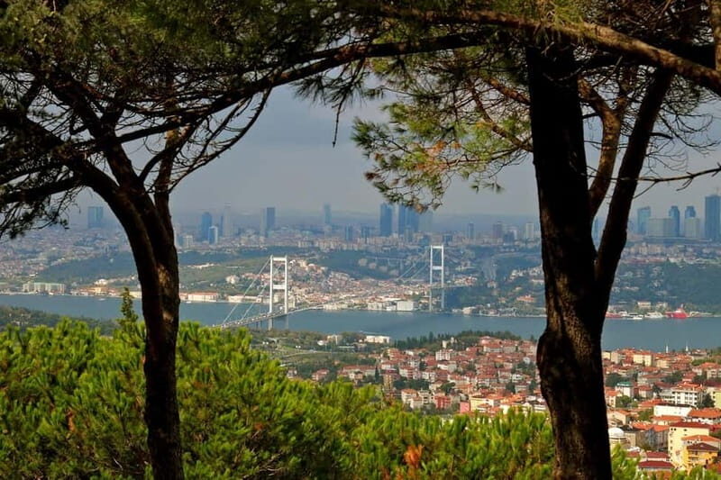 Istanbul: Private Tour of Bosphorus & Asian Side w/ a Local - Key Points