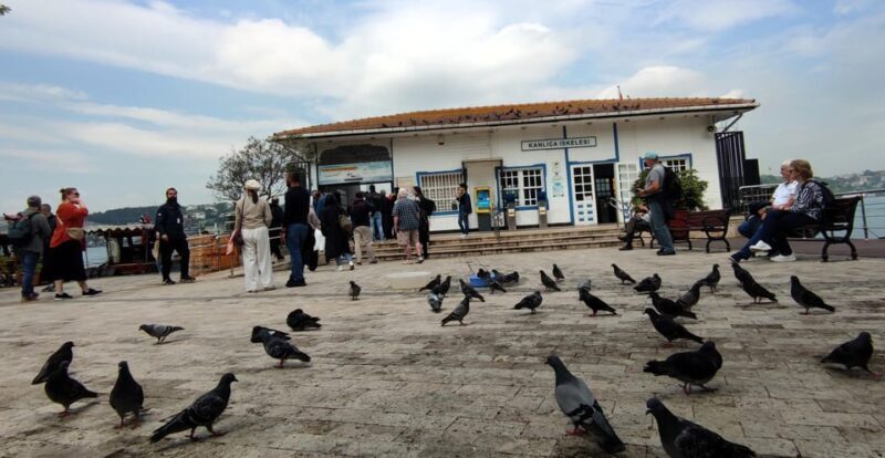 Istanbul Revealed: Historic Pathways and Bosphorus Serenity - Who Is This Tour Best For?