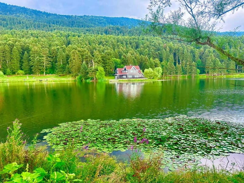 Istanbul: Sapanca, Bolu, Safranbolu and Amasra guided tour - An In-Depth Look at the Tour