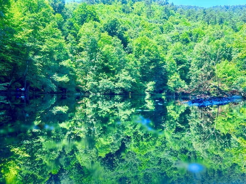 Istanbul: Sapanca, Bolu, Safranbolu and Amasra guided tour - Who Is This Tour Best For?