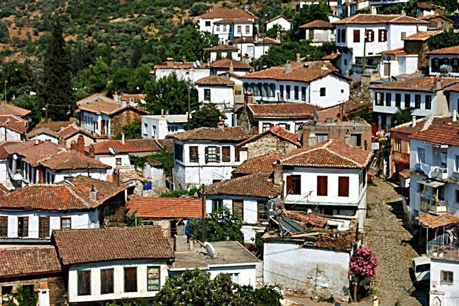 Istanbul to Ephesus Full Day Guided Tour, Flight and Lunch incl. - The Temple of Artemis — One of the Seven Wonders