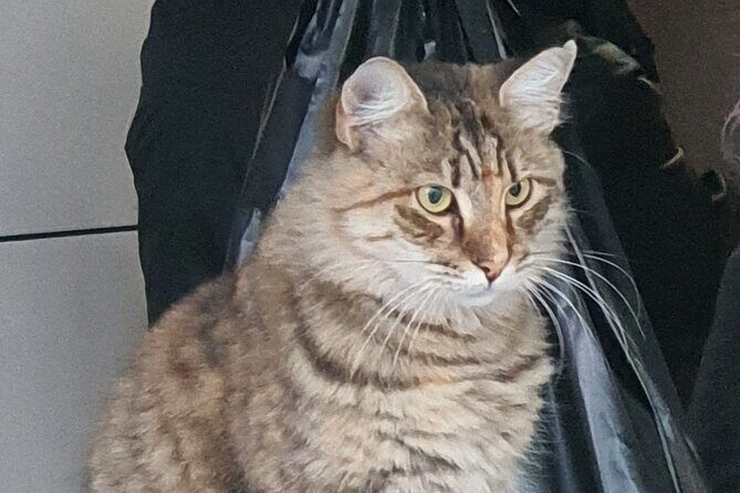 Istanbul Tour with Local Expert - The Sum Up