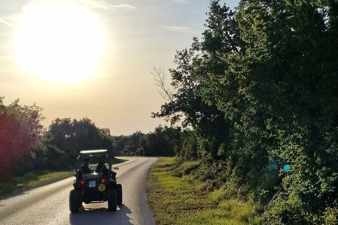 Istra Buggy Tours - Fazana - Scenic Exploration and Cultural Sites