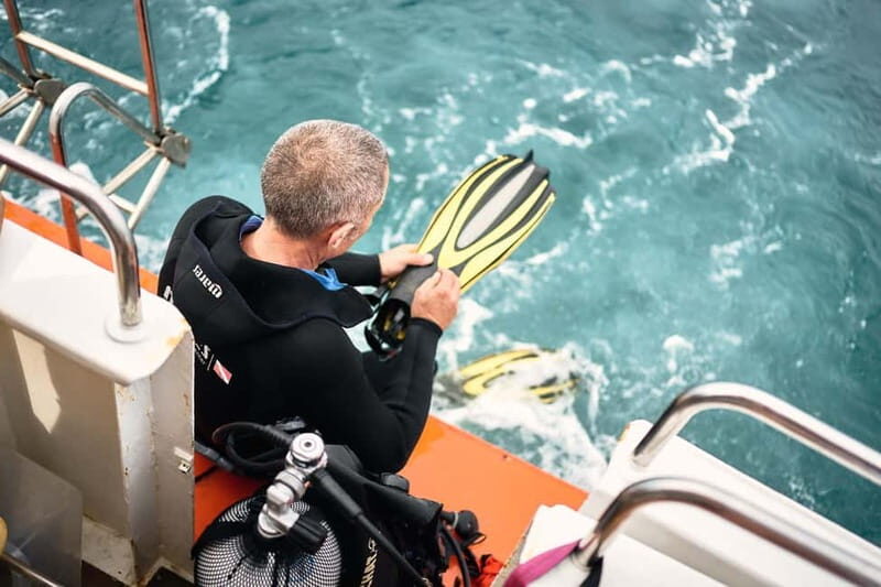 Istria: Aquavision Glassboat panoramic tour of Umag - Who Will Enjoy This Tour?