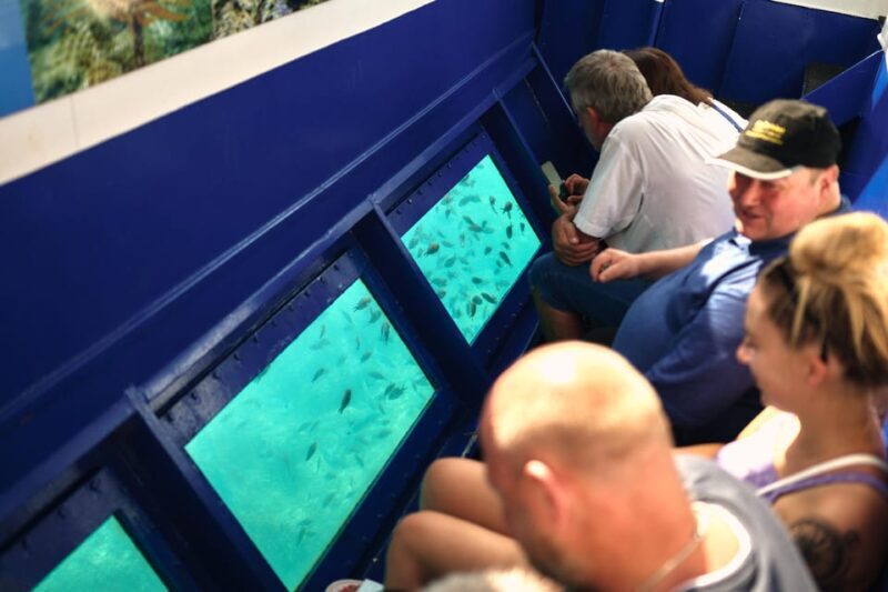 Istria: Aquavision Glassboat panoramic tour of Umag - The Sum Up