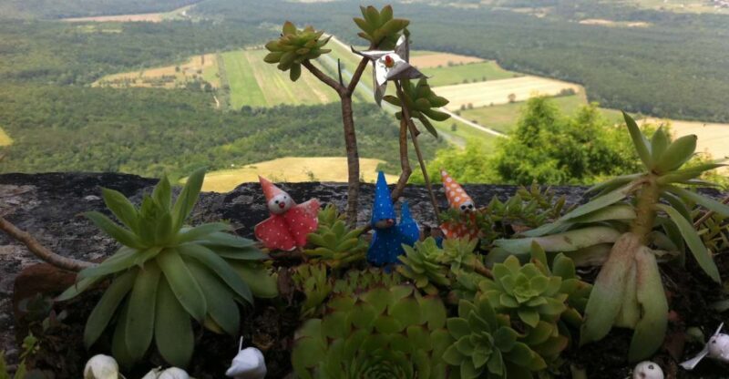 Istria: Guided Tour of Inner Istria with Food Tasting - Motovun: The Iconic Hilltop Gem