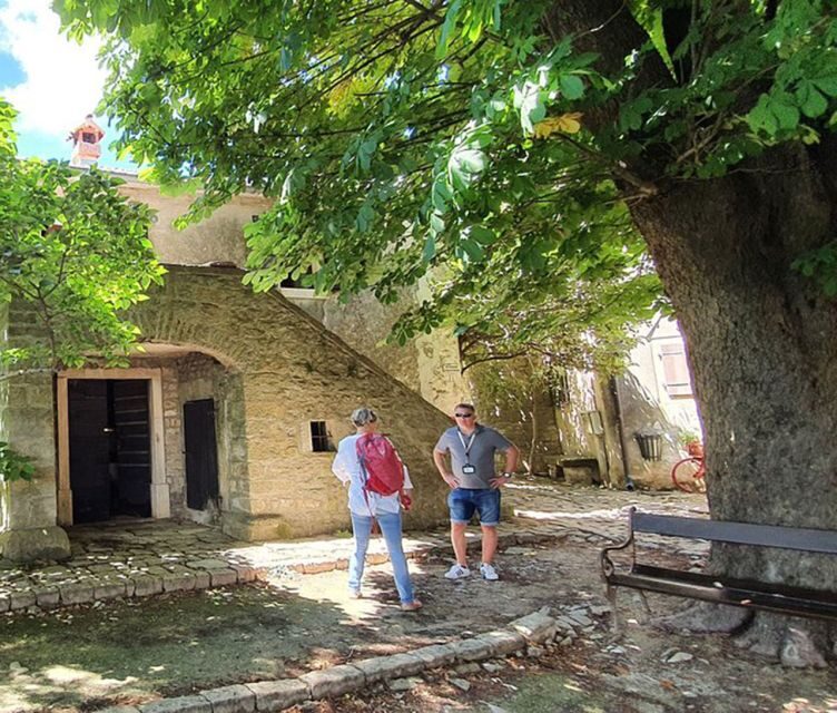 Istria: Guided Tour of Inner Istria with Food Tasting - Pazin and the Abyss: Nature’s Marvel