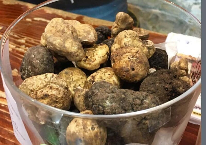 Istria: Guided Tour of Inner Istria with Food Tasting - Return Journey & Final Thoughts