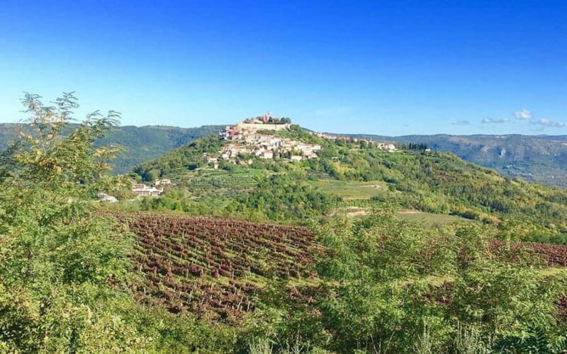 Istria: Guided Tour of Inner Istria with Food Tasting - Who Will Love This Tour?