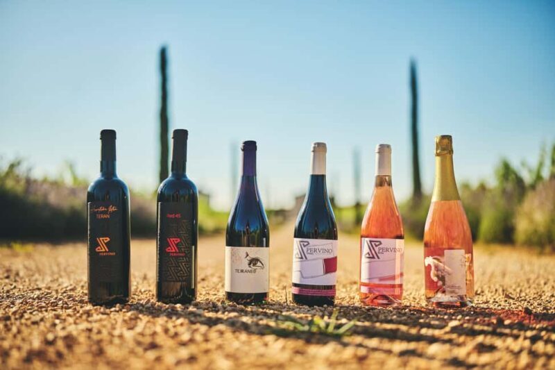 Istria: Pervino wine tasting - Is This Experience Right for You?