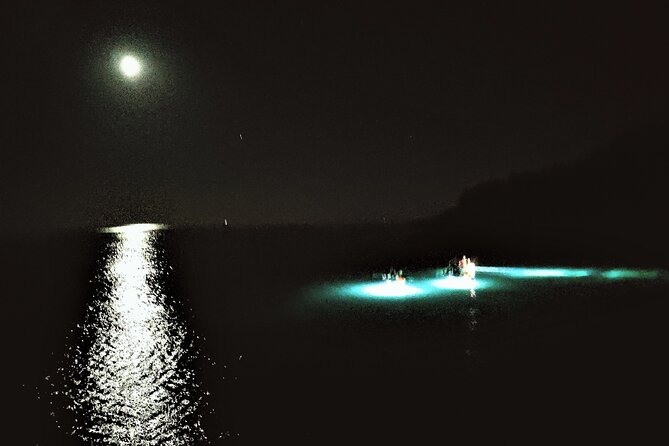 Istria Sea Canyon Illuminated Kayak Tour by Night - The Sum Up