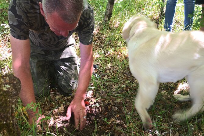 Istria - Truffles: Hunting & Cooking & Tasting, Slovenia - Guest Reviews and Feedback