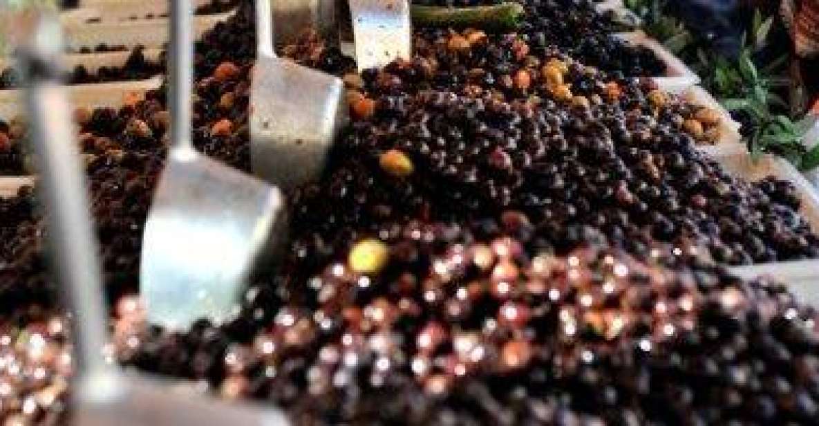 Italian Coast & Markets: Full-Day Small Group Trip - Discovering Dolceacqua