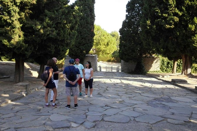 Italica 2-Hour Private Guided Tour From Seville - Visitor Information