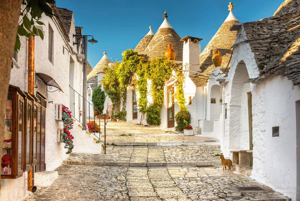 Itria Valley Tour, Alberobello, Ostuni, Cisternino, Locorotondo - Transportation and Practical Considerations