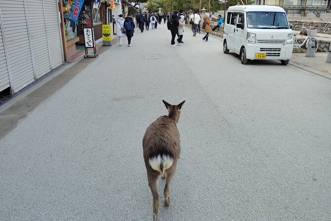 Itsukushima Shrine and Miyajima Summit 5hour Tour in Miyajima - Booking and Cancellation