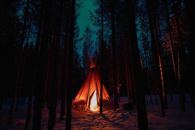 Ivalo: Aurora Hunting with Reindeer - The Sum Up