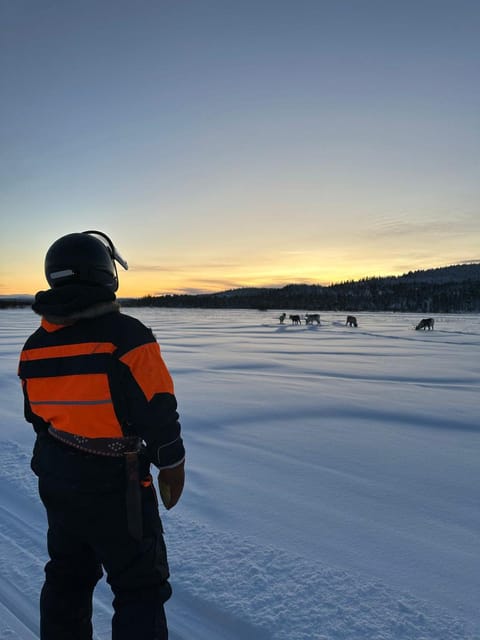 Ivalo: Ice Fishing Tour to Lake Inari, Reindeers & Lunch - The Reviews: What Others Say