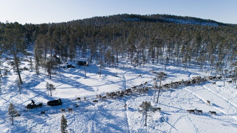 Ivalo: Reindeer Herders and Winter Fishing with Lunch - FAQ