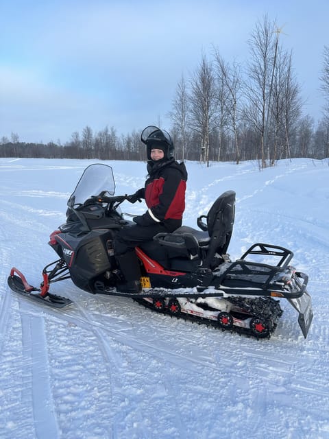 Ivalo: Snowmobile Safari, Meet and Feed Reindeers with Lunch - The Sum Up: A Genuine Arctic Day Out