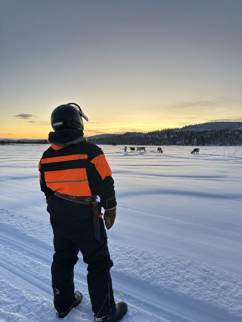 Ivalo: Snowmobile Safari, Meet and Feed Reindeers with Lunch - FAQs