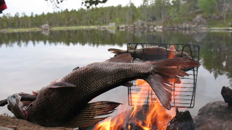 Ivalo: Summer Evening on a Lake in the Wild - Key Points