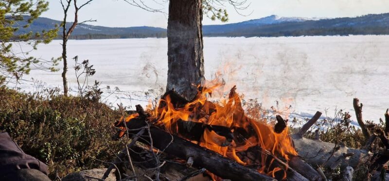 Ivalo:Sleighride Tour and Fishing on a Lake in the Wild - The Sum Up: An Authentic Finnish Wilderness Day