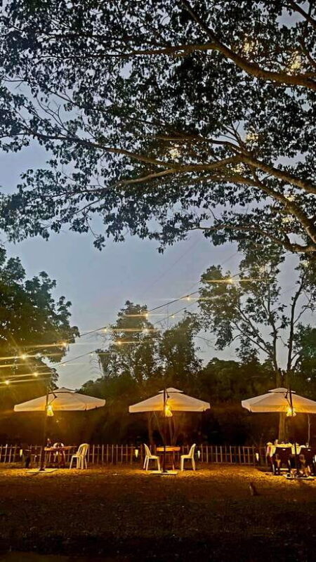 Iwahig River Cruise Firefly Watching - Final Thoughts on the Value