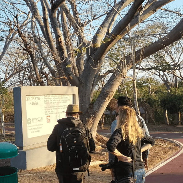 Ixtapa: Bird Watching Tour with Round-Trip Transportation - Key Points